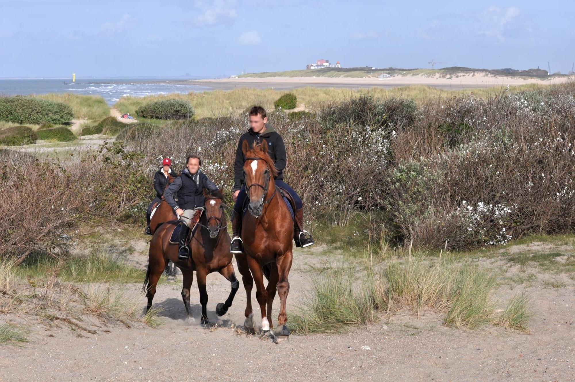 B&B Aquavit Knokke-Heist Exterior foto