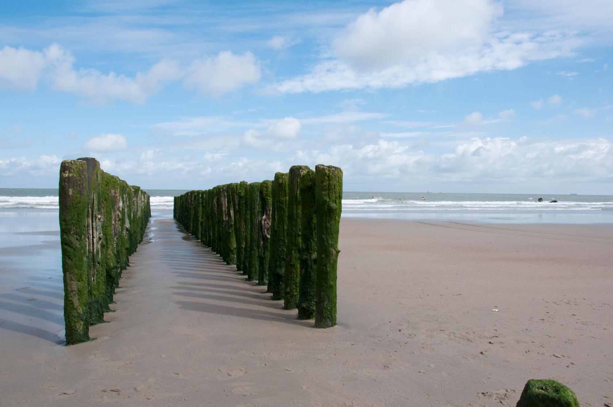 B&B Aquavit Knokke-Heist Exterior foto